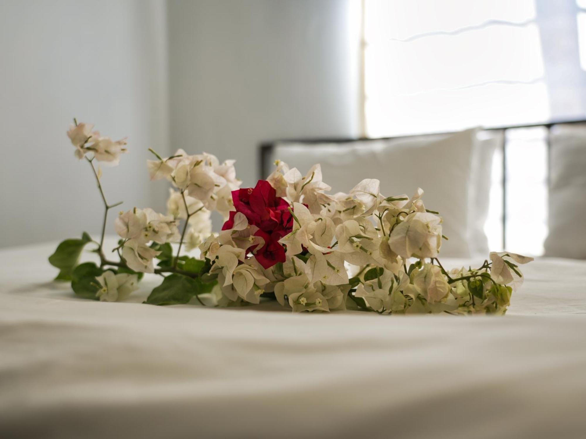 Golentle Home Stay 马翁 客房 照片
